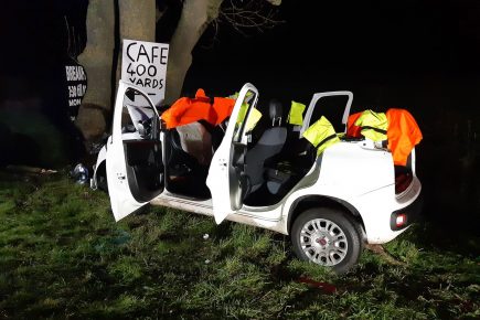 Car crashes into tree in York