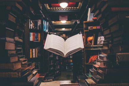 The books are back! York One Day Book Fair brings stories galore to the city