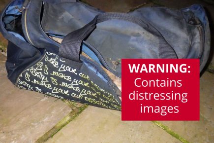 Dead dog found in bag in a stream in York