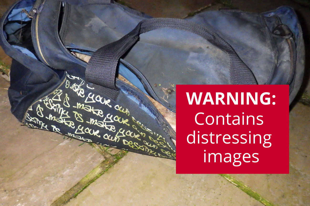 Dead dog found in bag in a stream in York