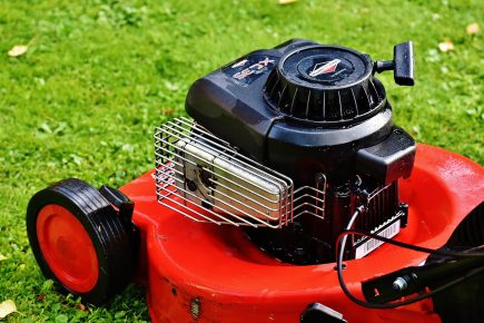 Council says sorry to vulnerable tenants for saying their garden help had been axed