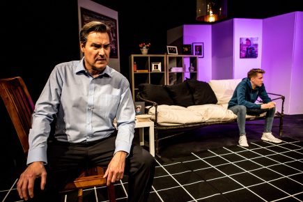 Review: The Goat or Who is Sylvia