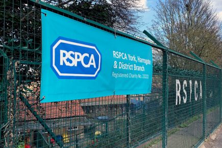RSPCA appeal for thick blankets following flood complications