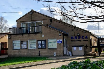 RSPCA York have launched an emergency appeal after its donations drop 90%