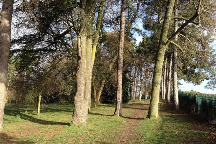 Youths blamed for starting fire in York park