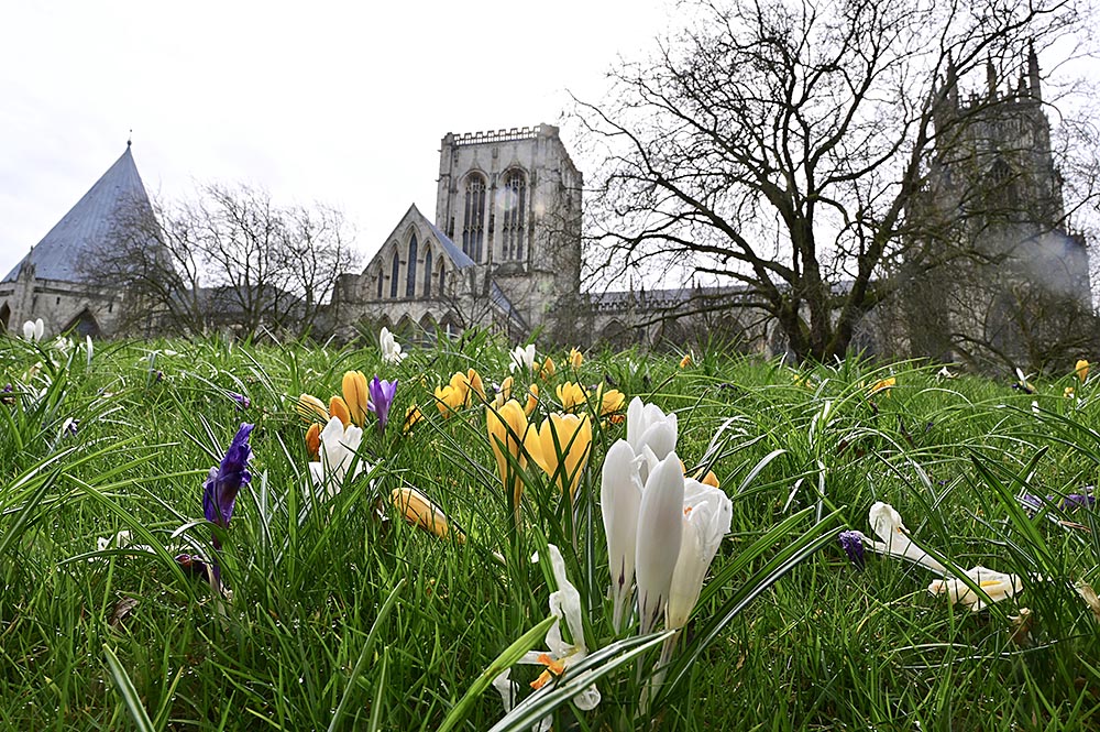 This is York today. As beautiful as ever