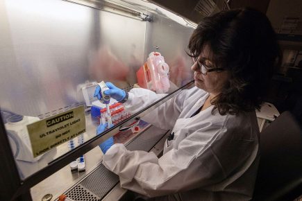 ‘Ramp up testing using York labs to beat coronavirus’ says infections expert