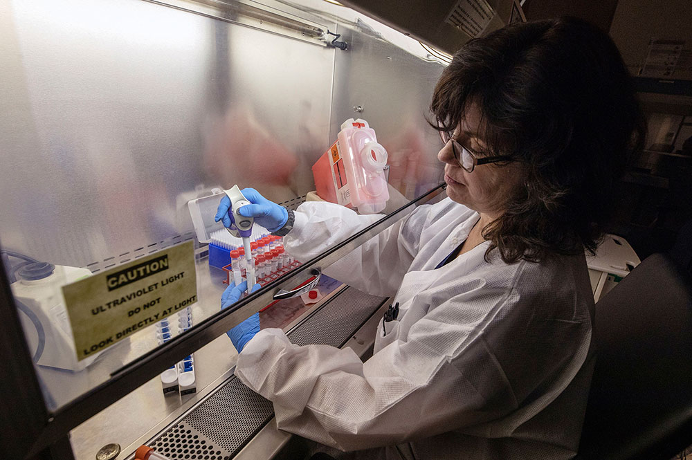 ‘Ramp up testing using York labs to beat coronavirus’ says infections expert