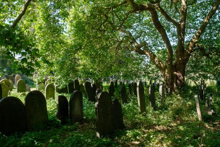 ‘Completely preposterous!’ Company criticised for calling York Cemetery a ‘community venue’