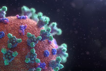 Tuesday update: More coronavirus cases in York, as death toll increases