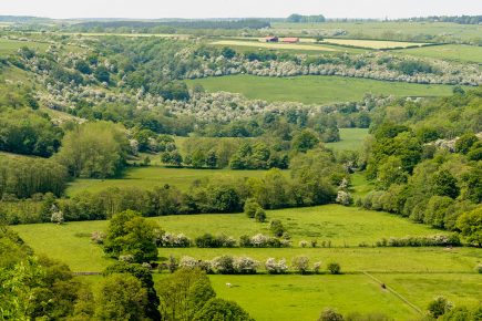 ‘North Yorkshire is very much NOT open for visitors yet’ – Stark message as lockdown measures are eased