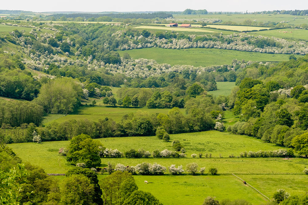 ‘North Yorkshire is very much NOT open for visitors yet’ – Stark message as lockdown measures are eased