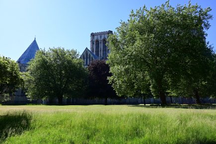 York named the greenest city in the UK