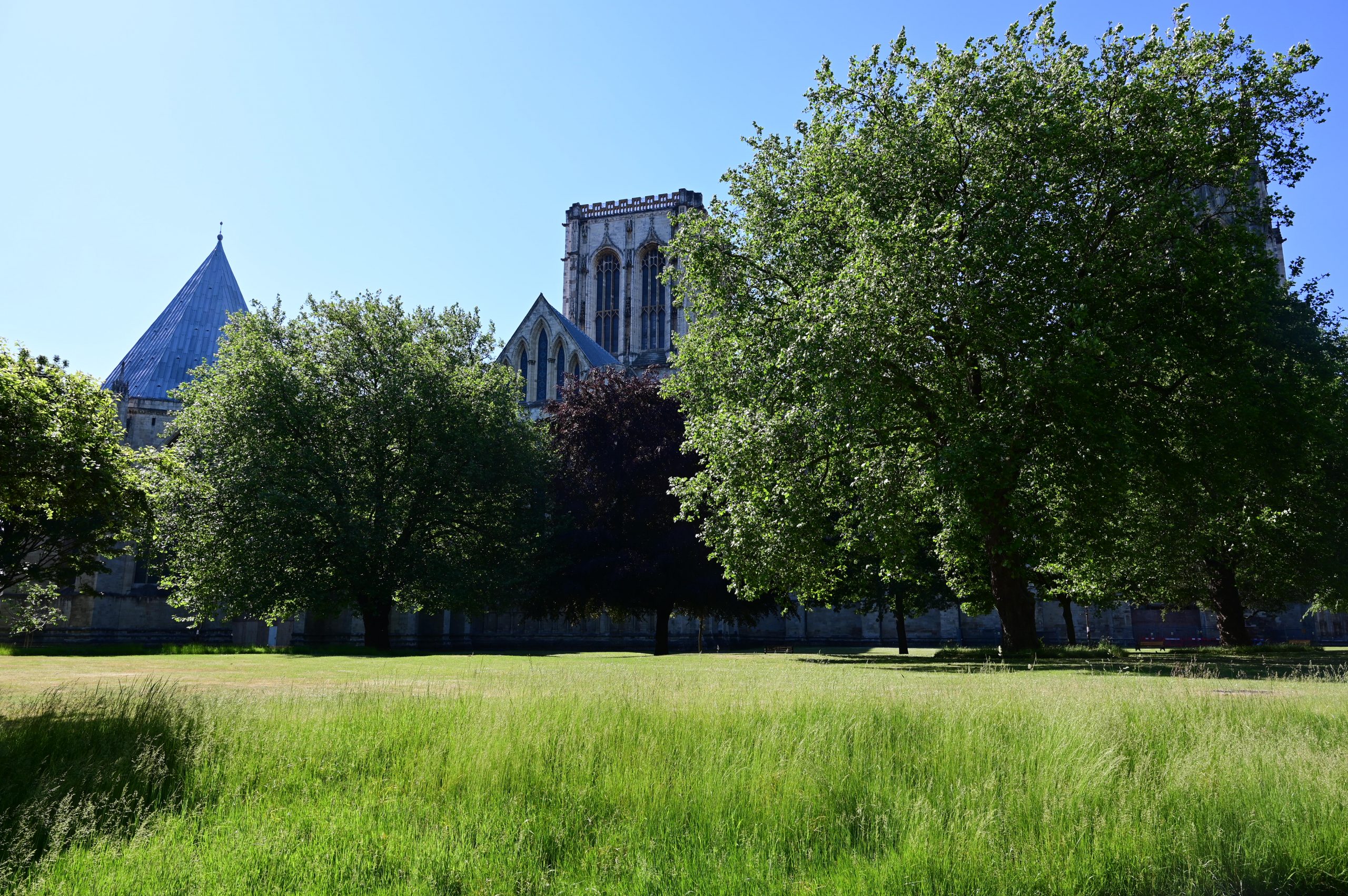 York named the greenest city in the UK