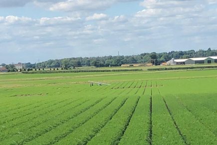 Light aircraft crashes near York