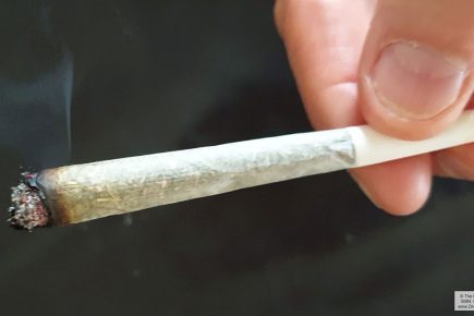 Cannabis-smoking burglars set off fire alarm