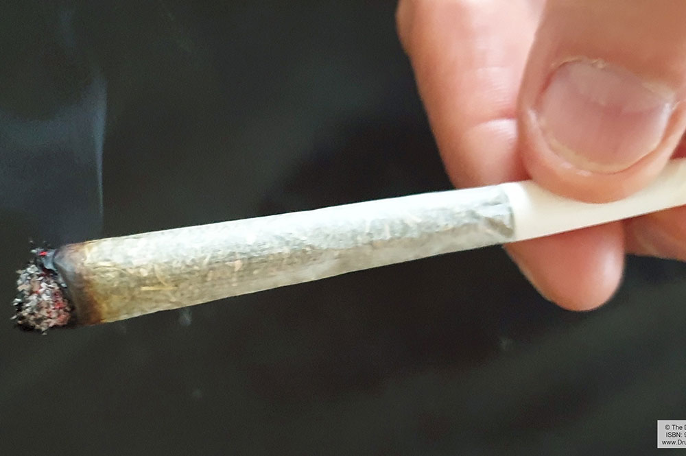 Cannabis-smoking burglars set off fire alarm