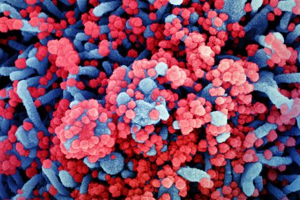 Number of people who have died from coronavirus in North Yorkshire exceeds 1,000
