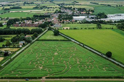 The York Maze isn’t opening this summer – but the Great Yorkshire Maze is, 25 miles away