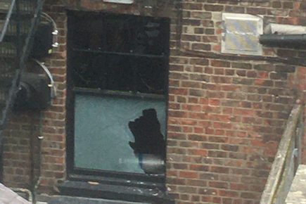 Updated: Micklegate reopens after man arrested