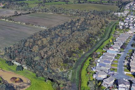 Police break up large gathering of youths in York wood