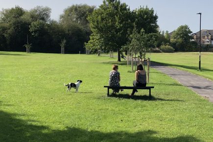 Video: Can we do more with Little Hob Moor?