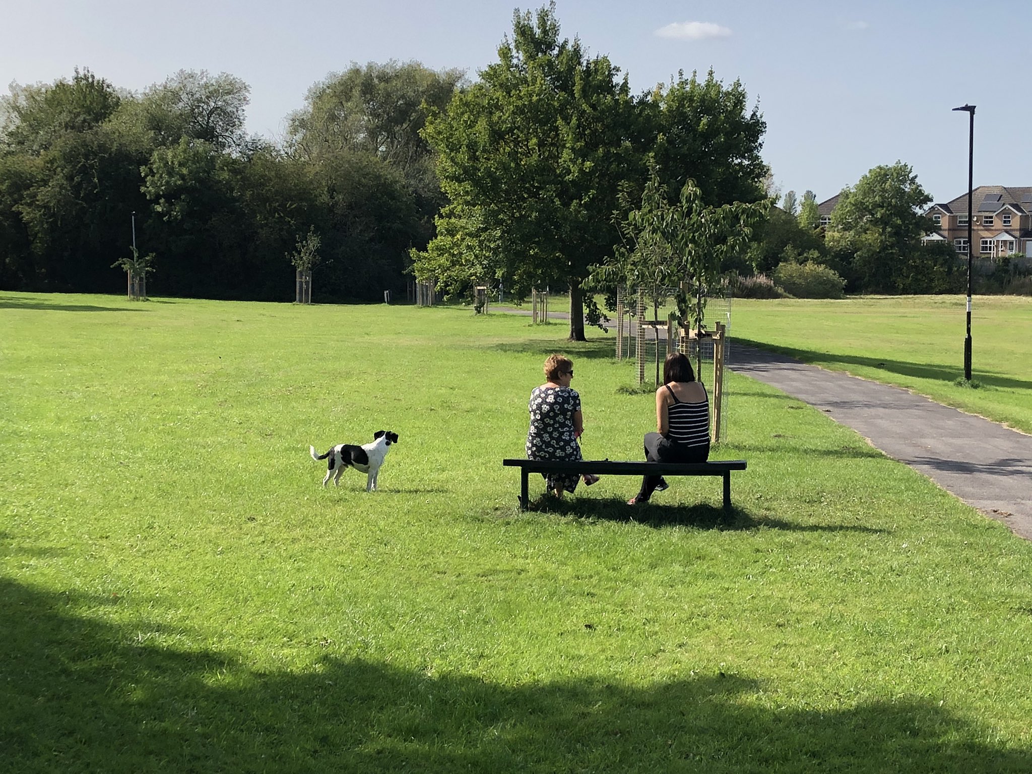 Video: Can we do more with Little Hob Moor?