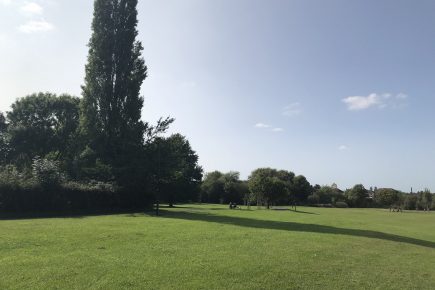 Woman charged over attack on man and his dog on Hob Moor
