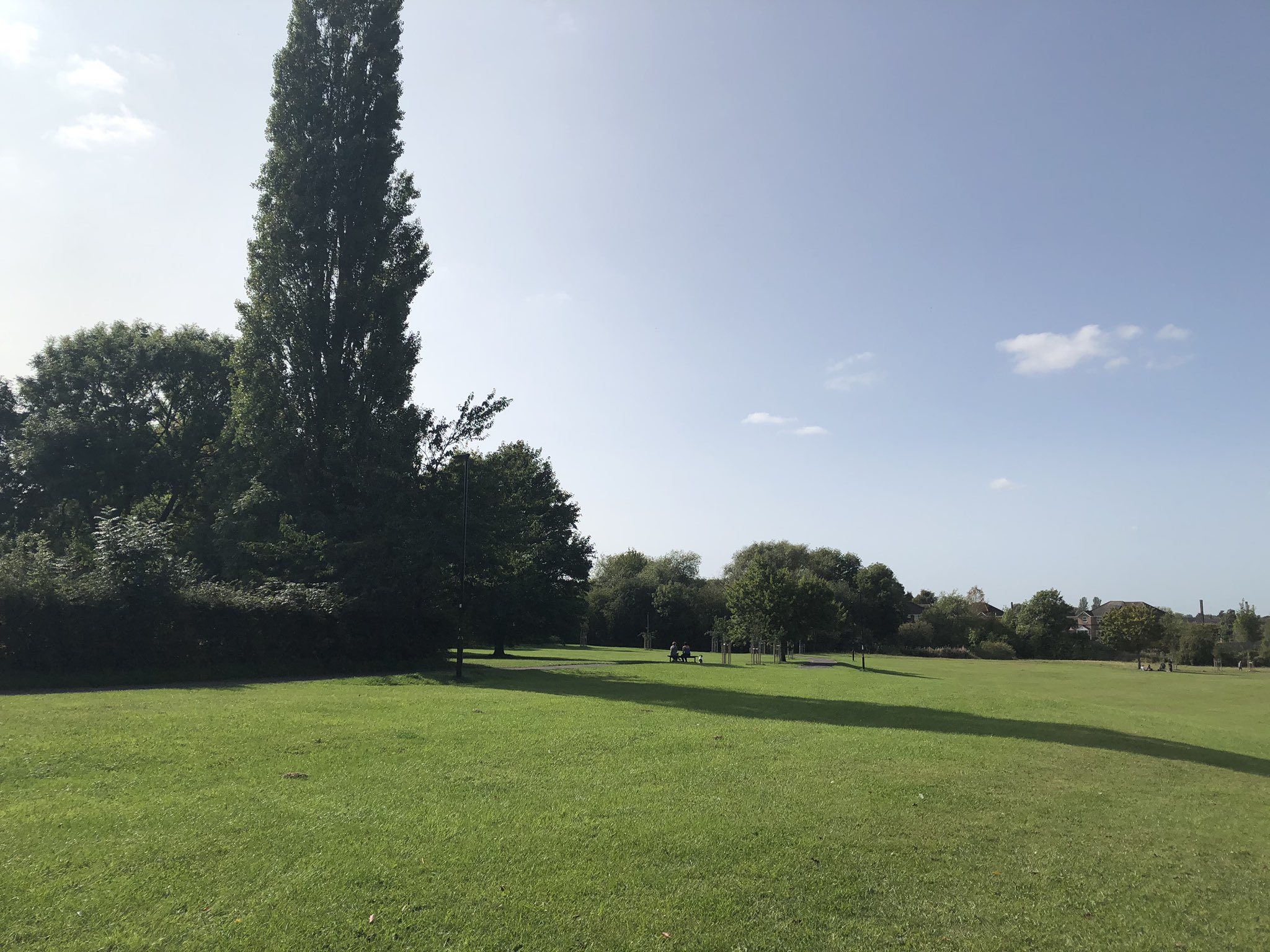Woman charged over attack on man and his dog on Hob Moor