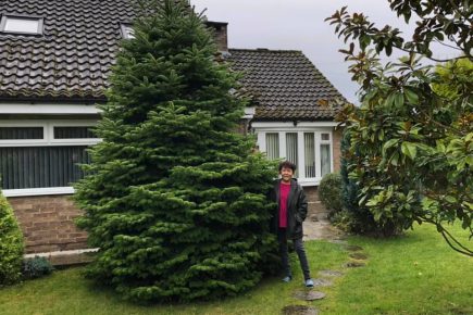 This Christmas tree has outgrown Jennie’s  garden – so she’s selling it for charity