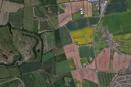 Revealed: Location of York’s new community wood