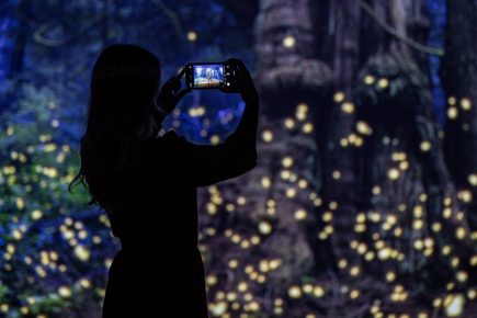 Extraordinary artworks in York explore the human body as you’ve never seen it before
