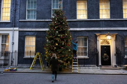 Video: York Christmas tree lights up Downing Street