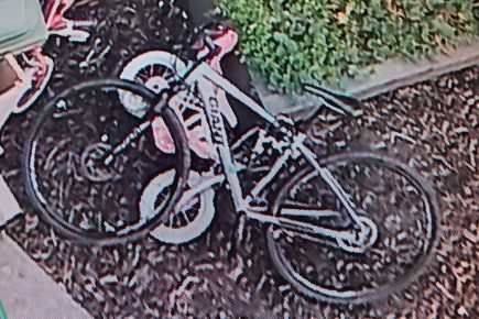 Watch: York family release video of men ‘stealing their son’s bike’ – and appeal for its return