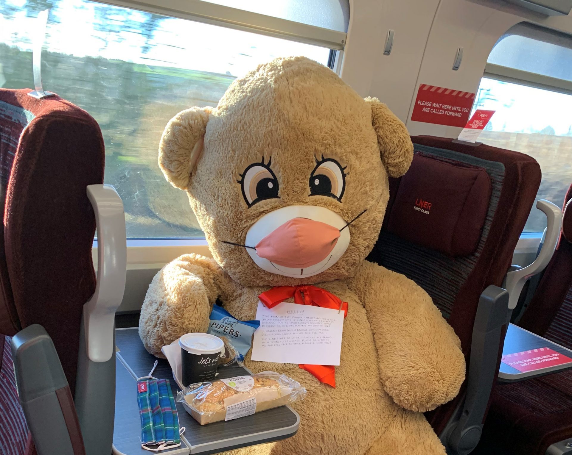 LNER makes sure a special Christmas bear gets from York to a three-year-old in Scotland