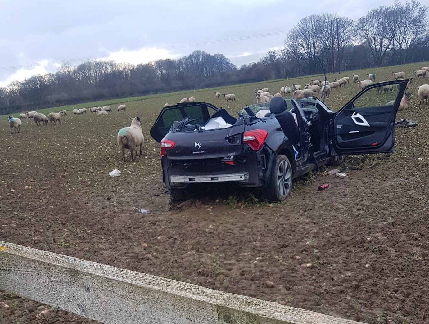 A driver’s Dukes of Hazzard moment as car clears a fence and crashes into a North Yorkshire field
