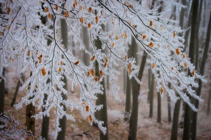 North Yorkshire records UK’s lowest temperature as cold snap continues