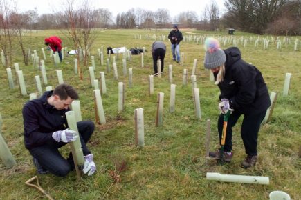 Celebrate all things green – eight key events to try during York Environment Week