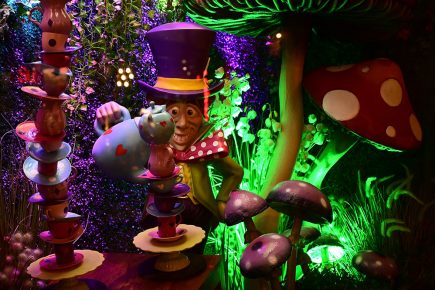 Video and pictures: York shop transformed into a magical storybook world this Christmas