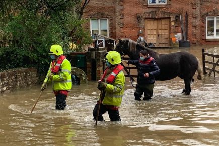 York fire crews rescue injured horse from flood