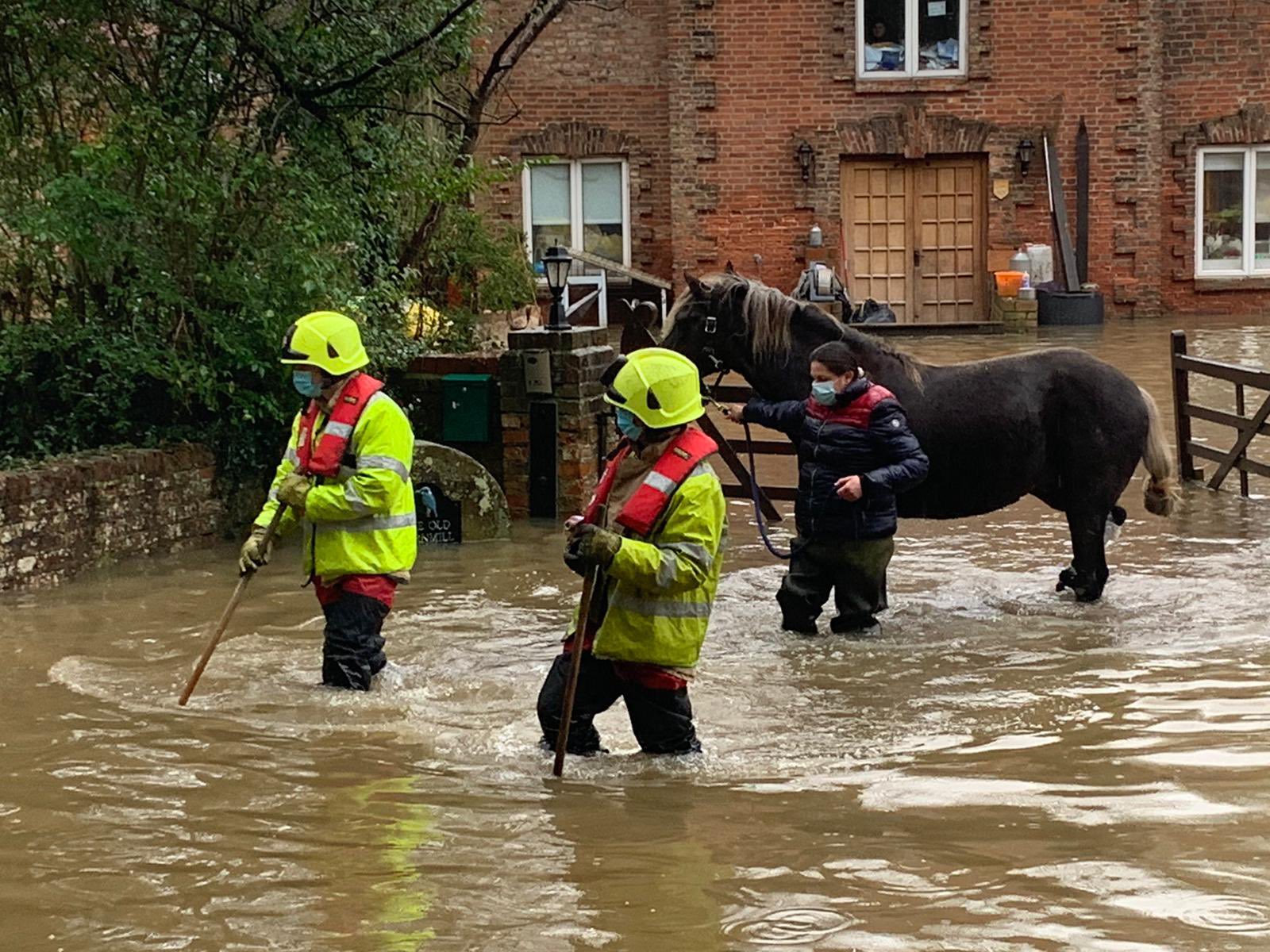 York fire crews rescue injured horse from flood