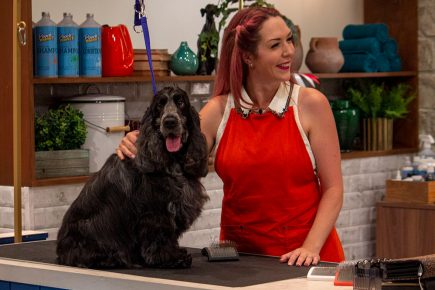 York dog groomer Ellie styles her way to TV stardom