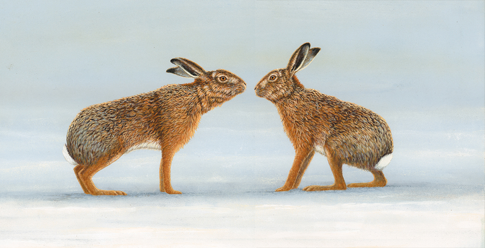 Online exhibition captures the remarkable world of ‘Animals in love’