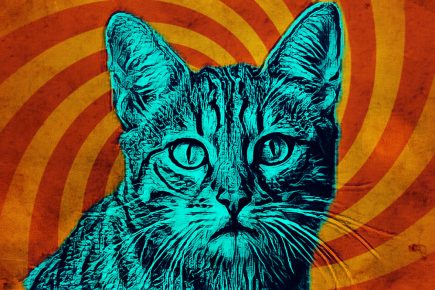 The big reveal: Sculpture of Gerald the York Minster Cat will be unveiled on Thursday – by a star of stage and screen