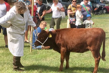 Popular North Yorkshire summer show – due to run in August – cancelled over Covid concerns