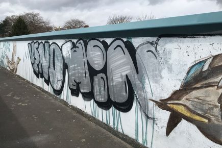 ‘Absolutely appalling’: Anger as vandals daub graffiti over bridge artwork only 16 days after it was completed