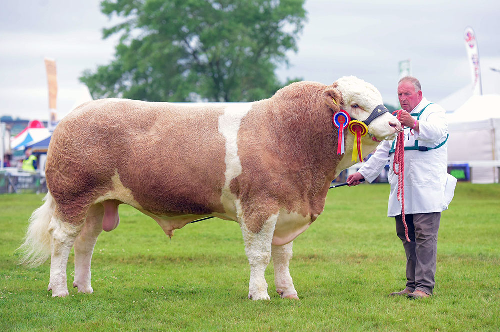 Great Yorkshire Show set to go ahead in July
