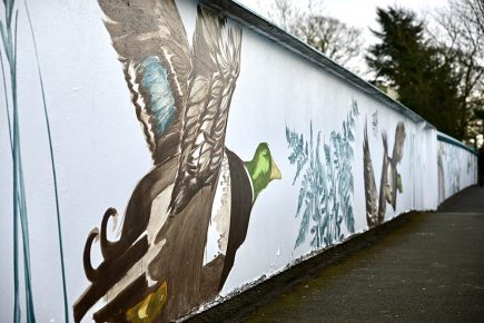 Pictures: ‘It looks amazing!’ York rail bridge becomes giant artwork in a colourful bid to banish graffiti