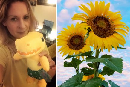 Can you grow York’s biggest sunflower – and raise money for a great cause at the same time?