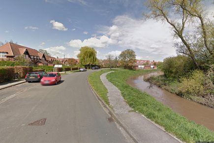 Guide dog attacked in York